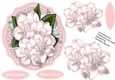 Beautiful Soft Pink gardenias