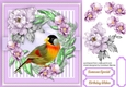Stunning Mesia Bird