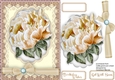 Cream Peony Rose on a Scalloped Mat