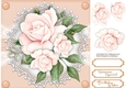 Pale Peach Roses on Vintage Lace 5