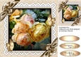 Beautiful Butterflys and Roses 2