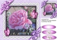 Beautiful Butterflys and Roses 6