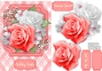Pink    Roses and Babys Breath