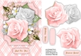 Soft Pink Roses and Babys Breath