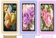 A Trio of Roses 3