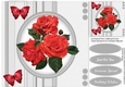 Beautiful Red Roses 4