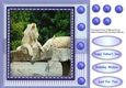 Wildlife in Africa 3