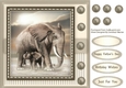 Wildlife in Africa 6