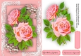 Beautiful Pink Roses on Corner Lace 