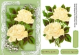 Beautiful Pale Lemon  Roses on Corner Lace 