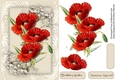 Beautiful Poppies  on Corner Lace 