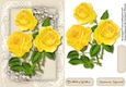Beautiful Yellow Roses  on Corner Lace 