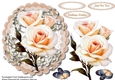 Cream Roses on a Lace Mat