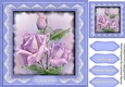Beautiful Roises , Lilac