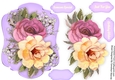 Beautiful Summer Time Roses 3