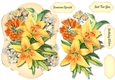 Beautiful Summer Time Lilys 4