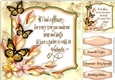 Beautiful Butterflys and Verse