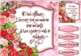 Red and Pink Roses and Verse