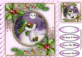 Beautiful Christmas Snowman
