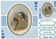 Beautiful Birds on a branch 2