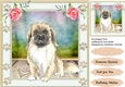 Water coloured  Pekingese