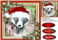 Gorgeous Christmas Badger
