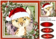 Gorgeous Christmas Bobcat