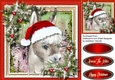 Gorgeous Christmas Donkey