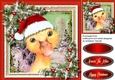 Gorgeous Christmas Duck