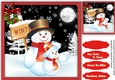 The Christmas Winter Snow man