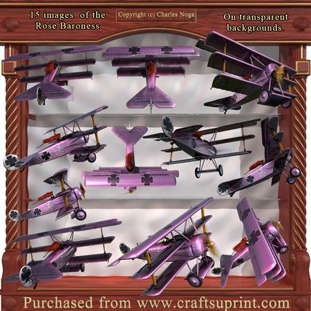The Rose Baroness Fantasy Wwi Airplane