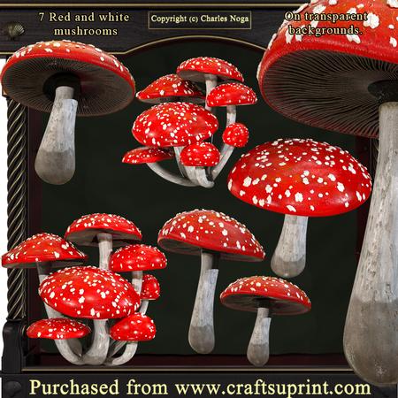 Red Mushrooms Amanita