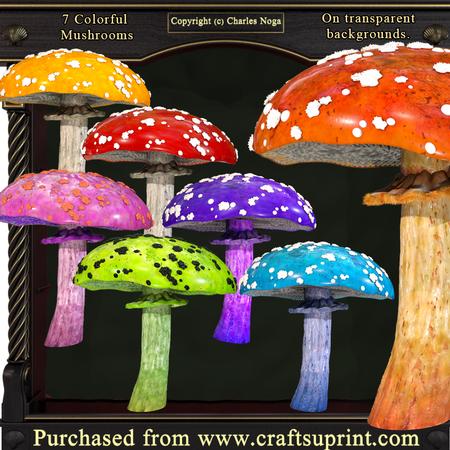 Colorfull Mushrooms