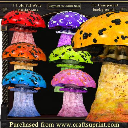 7 Colorful Wide Mushrooms