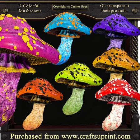 7 Colorful Mushrooms