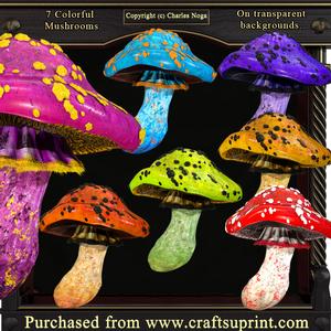 7 Colorful Mushrooms