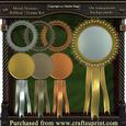 Metal Doilies Ribbon Frame Kit