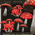 Red Mushrooms Amanita