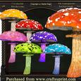 Colorfull Mushrooms