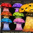7 Colorful Wide Mushrooms