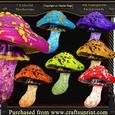 7 Colorful Mushrooms