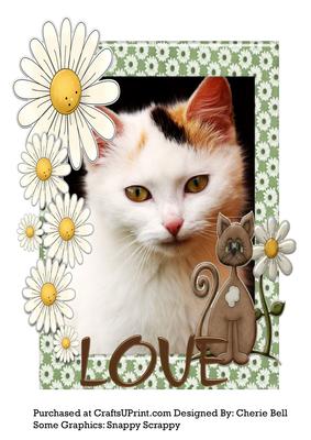 Kitty Love Card Front