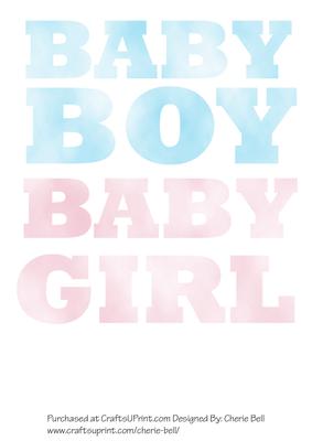 Baby Boy and Girl Pink and Blue Word Art