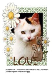 Kitty Love Card Front