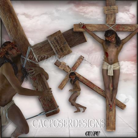 He Gave is Life for Us