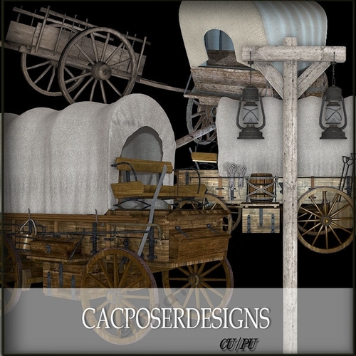 Western Stage Coach