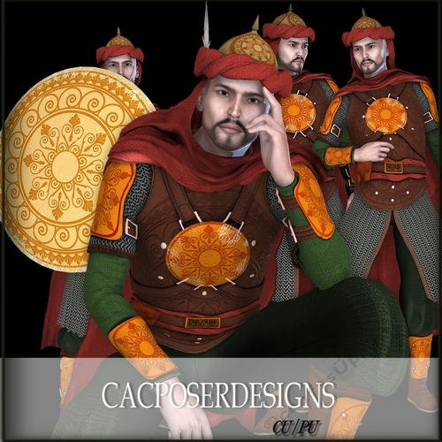 Fantasy Series Palace Gaurd