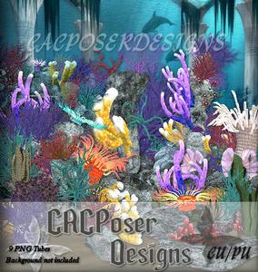 Caccoralset1