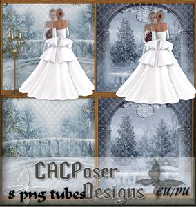 Winter Bride