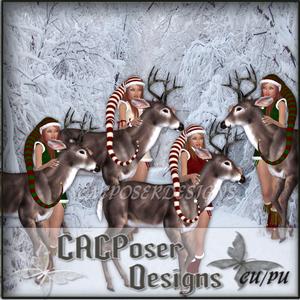 Raindeer Love